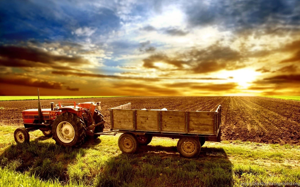 Wallpapers Tractor Games In The Field Artistic And 1920x1200 ...