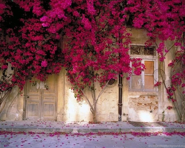 Beautiful Spring Desktop Wallpapers