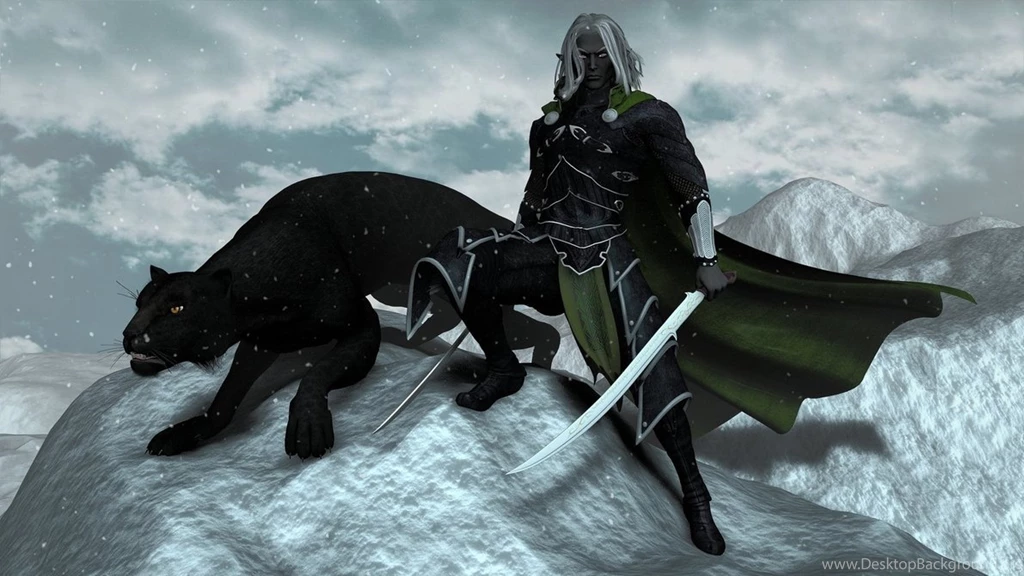 Drizzt Do'Urden Wallpapers Wallpapers Zone