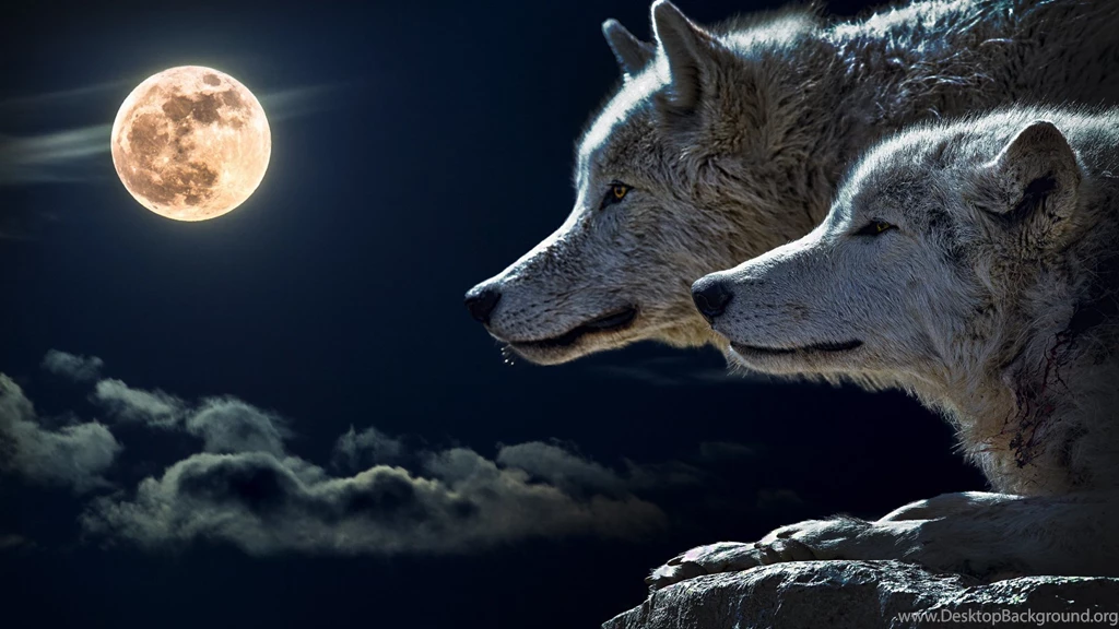 Wolves And Full Moon HD Wallpapers. 4K Wallpapers
