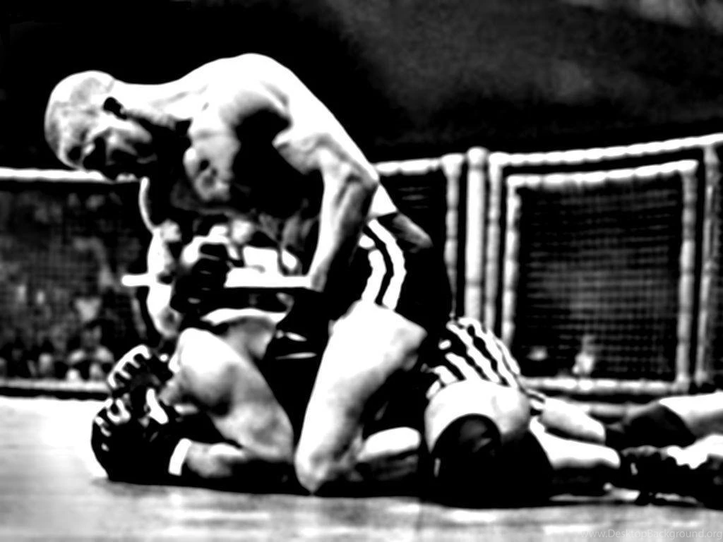 Wallpapers Ufc Fighting On Top 1024x768