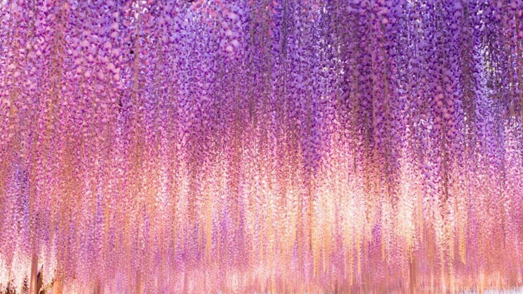 FLOWER SHOWER WALLPAPER (