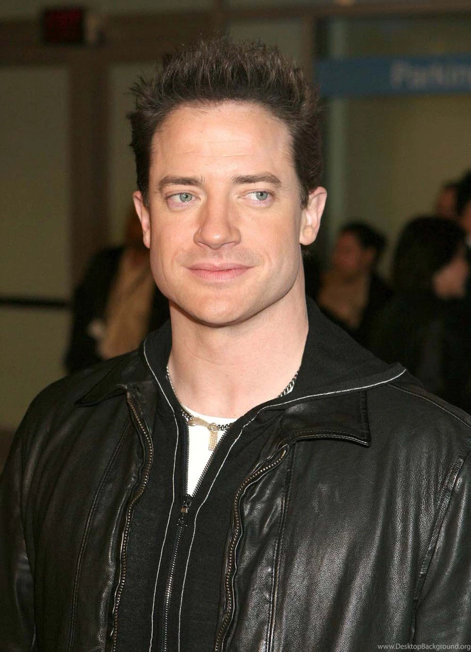 Gallery For > Brendan Fraser Wallpapers