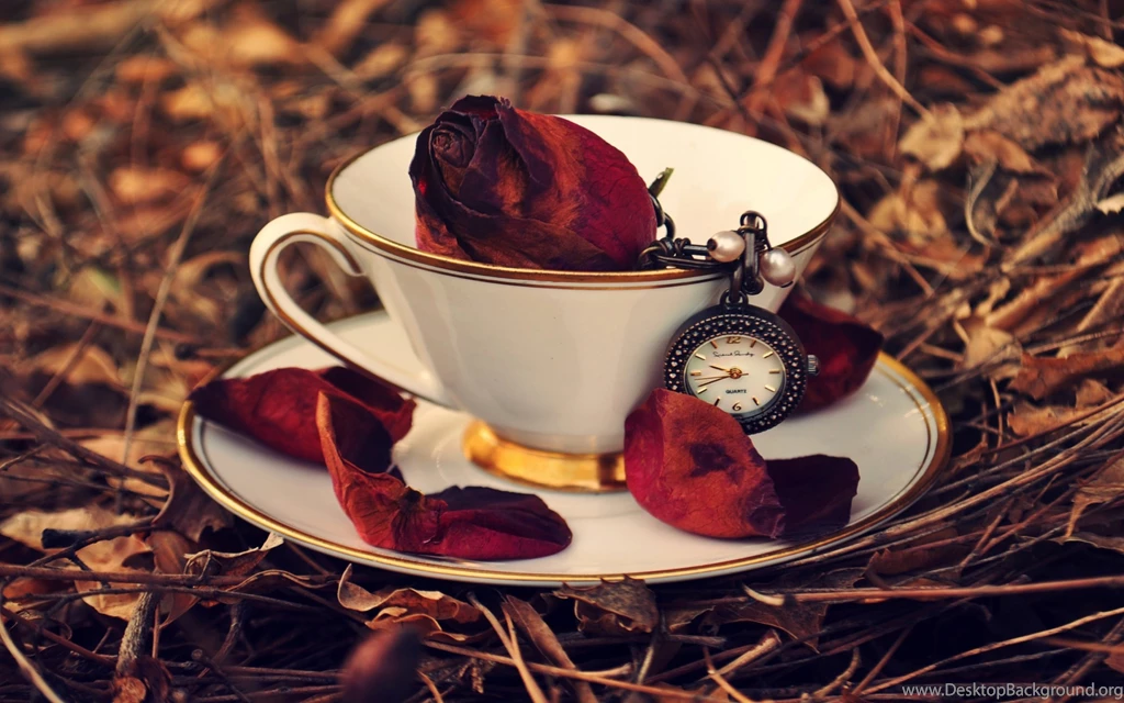 Cup With Rose And Vintage Watch