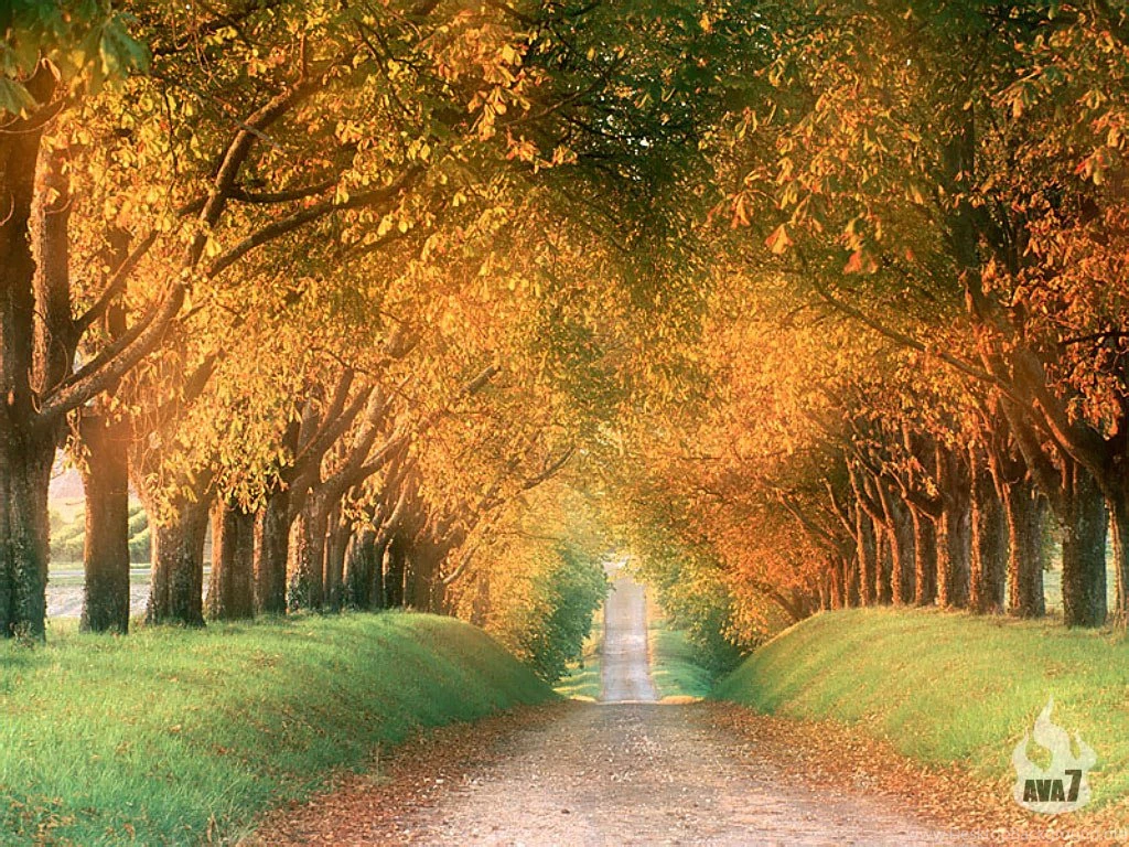 Latest Funny Wallpapers HD Wallpapers Beautiful Nature Wallpapers ...
