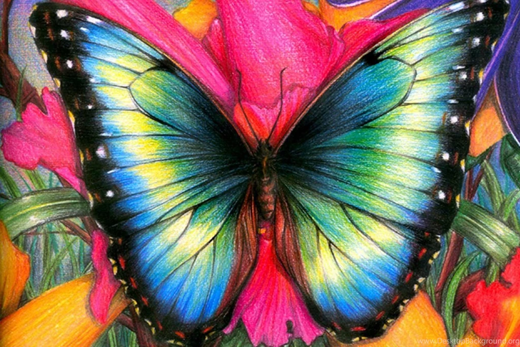 Free Download Wallpapers For Mobile Widescreen HD Wallpapers
