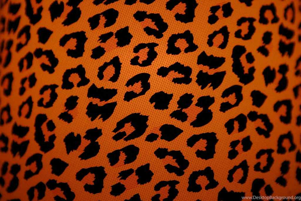 Animal Print Desktop Wallpaper Backgrounds