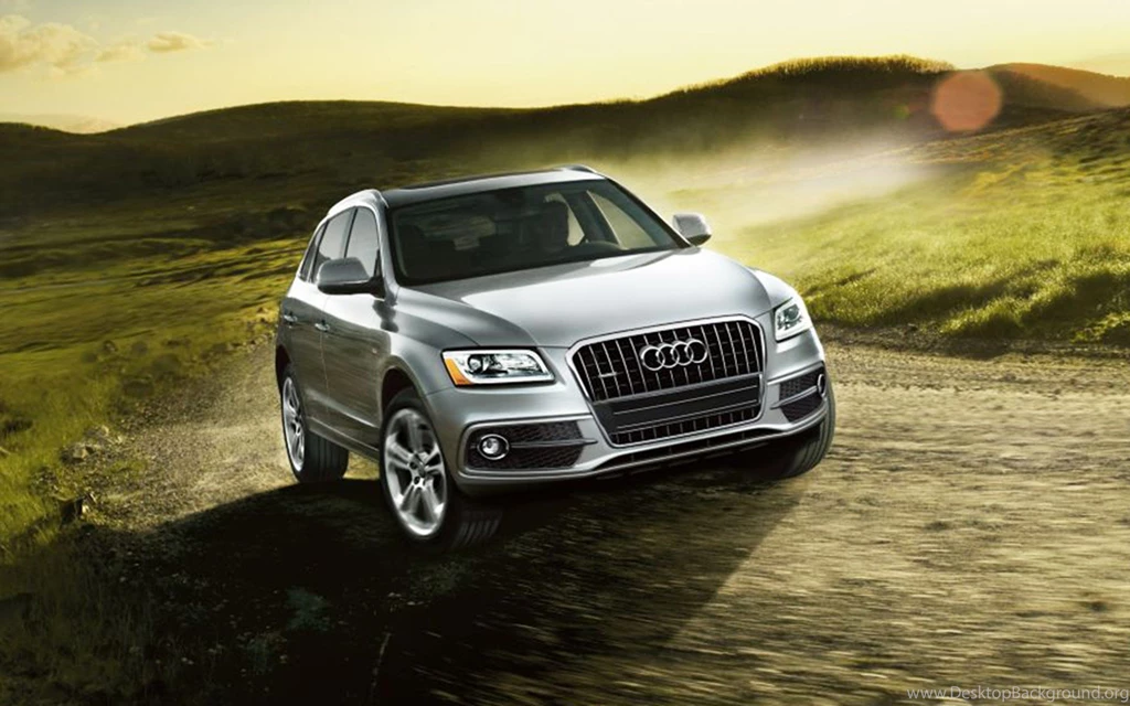 2015 Audi Q5 Photoshoot (5427) Tcledev