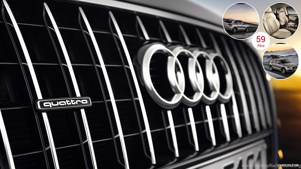 2013 Audi Q5 Grill