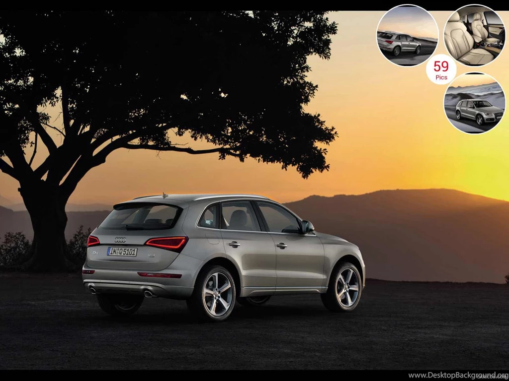 2013 Audi Q5 Rear