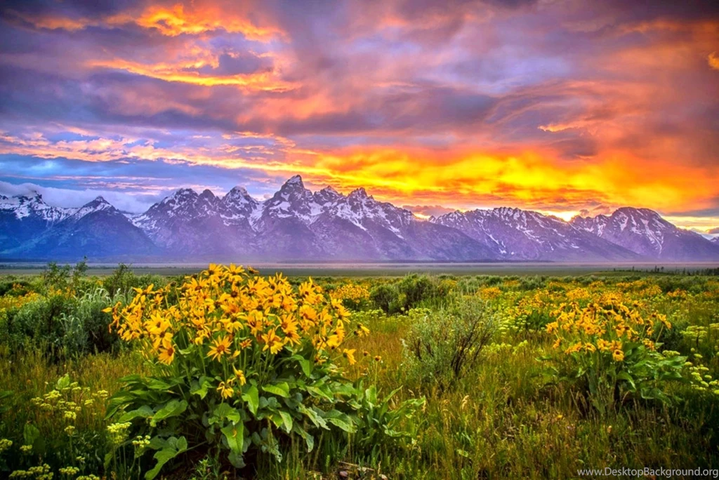 Hd Nature Wallpapers, Landscape, Green, Field, Sky, Nature ...