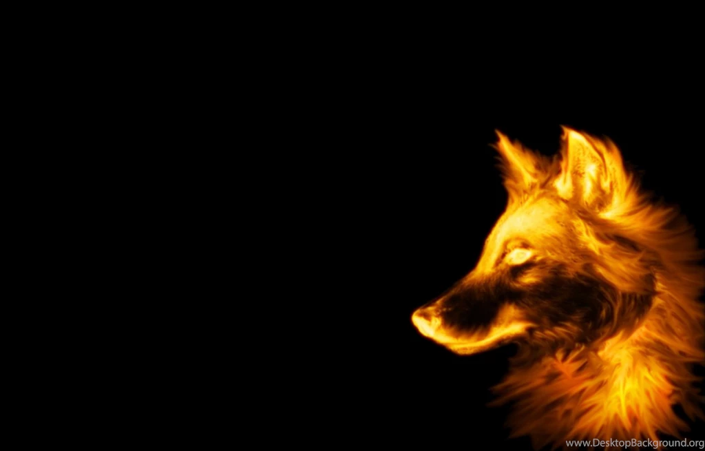 Desktop Cool Wolf Wallpapers 3d Hd Pictures.