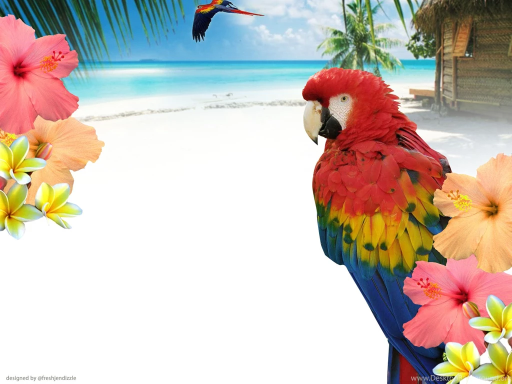 Backgrounds Pictures Free Wallpapers HD Base
