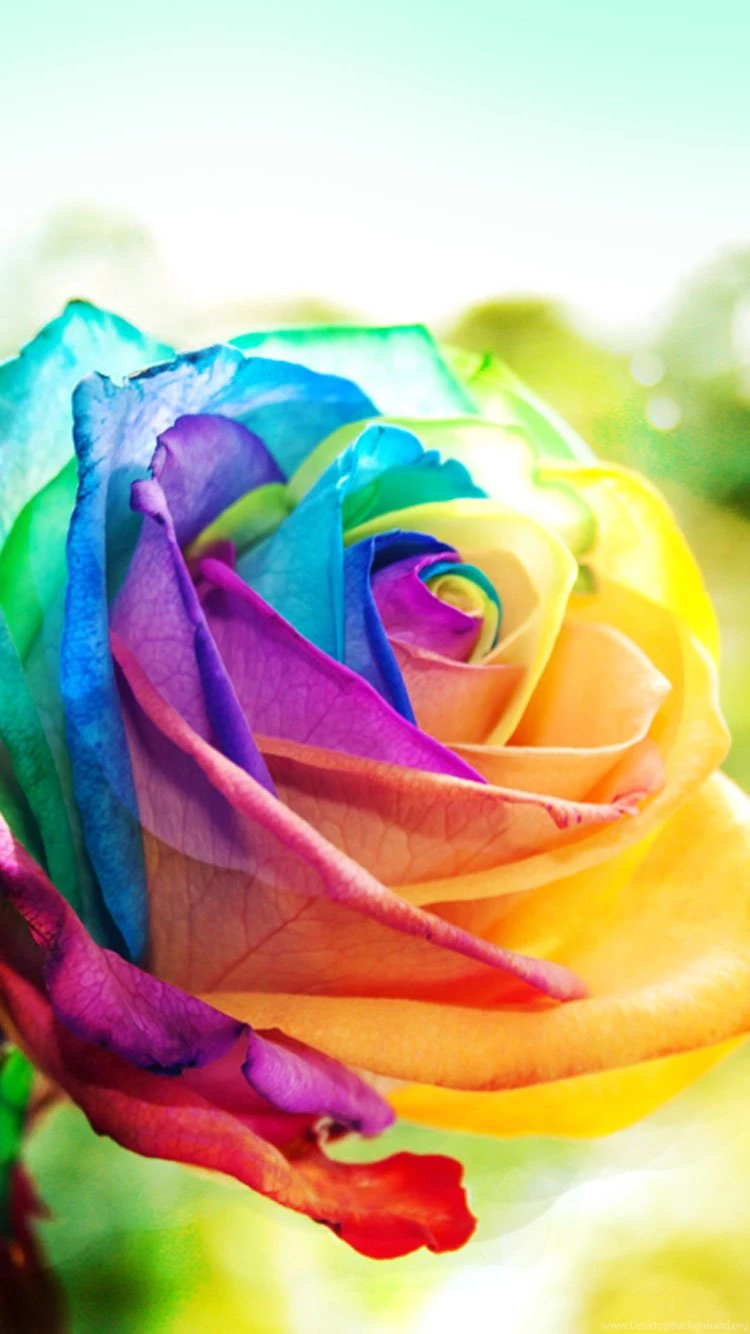 20+ New iPhone 6 & 6S Wallpapers & Backgrounds In HD Quality