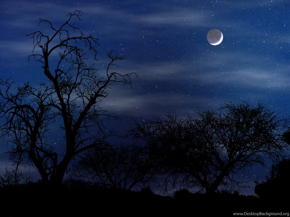 Wallpapers Night Scene By Norif Customize.org