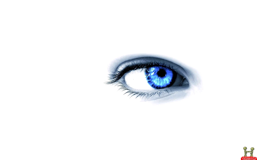 Wallpapers For Desktop With Video, Wallpaper, Background, Halo+ ...