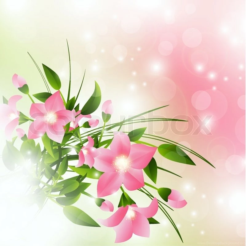 Pink Flowers Over Pink Backgrounds With Lights
