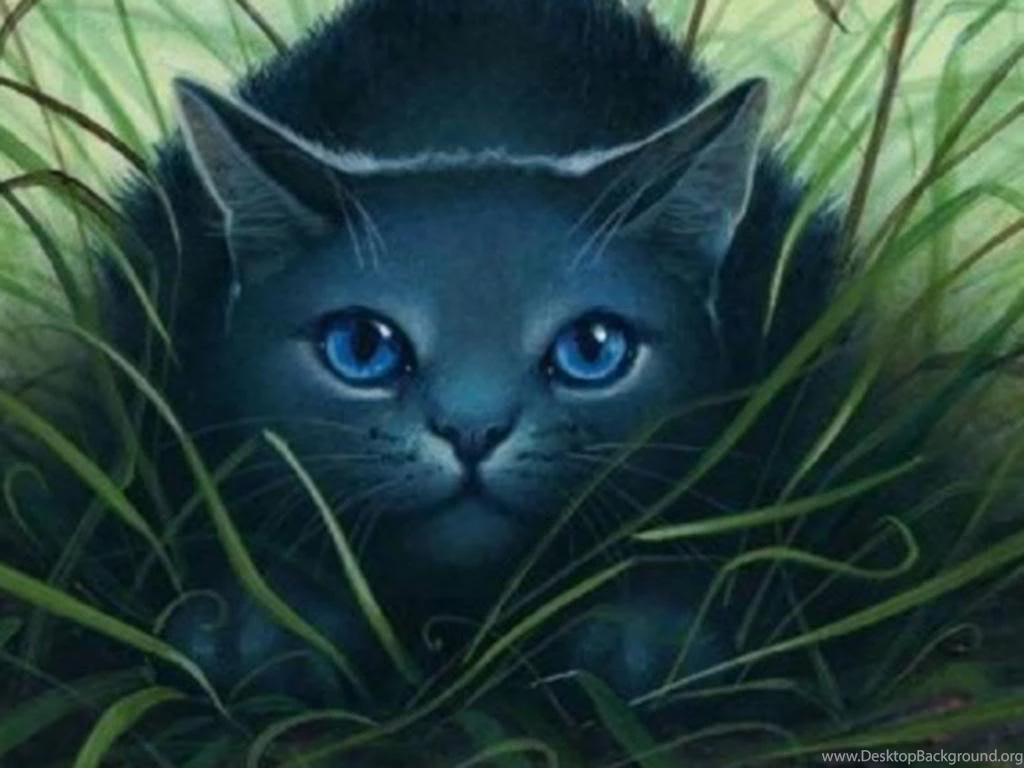 Image Wallpaper BlueStar.jpg Warrior Cat Wiki Wikia