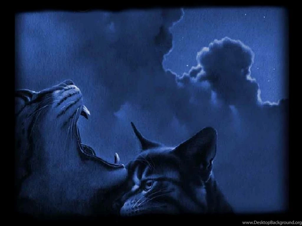 Warrior Cats Backgrounds Wallpapers Cave