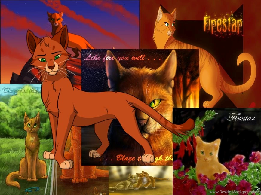 Browsing Wallpapers On DeviantArt