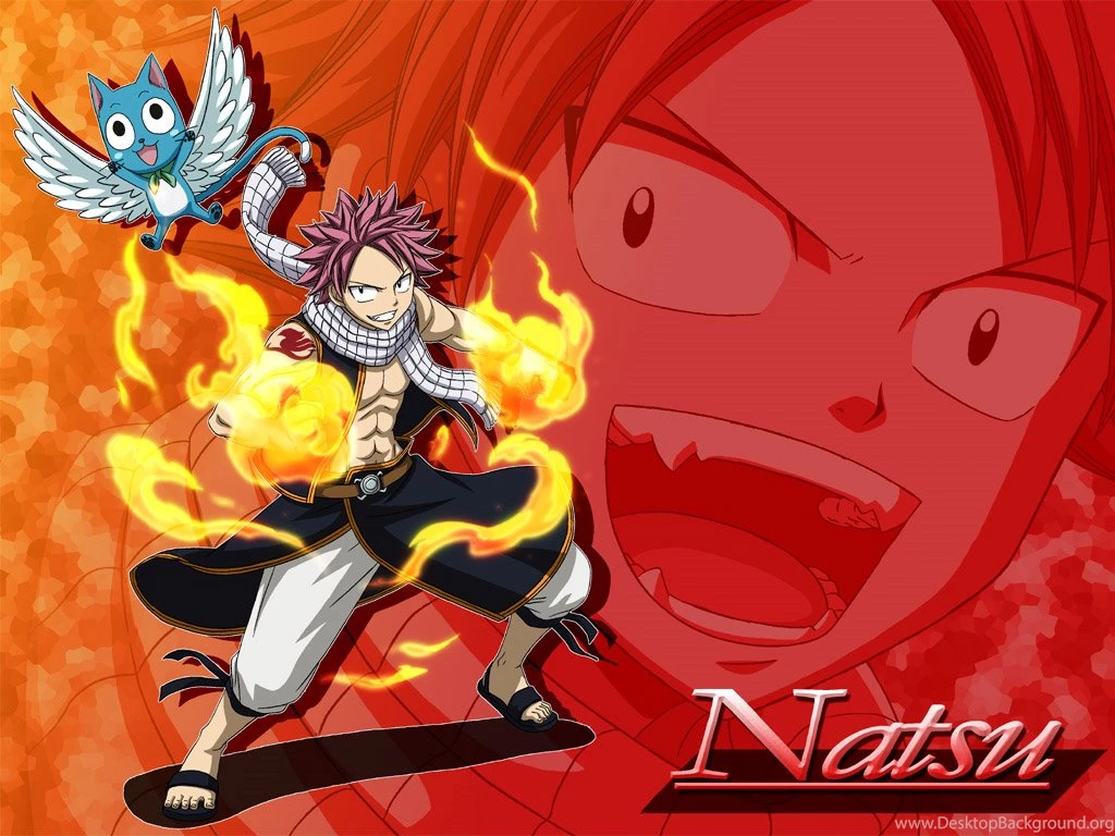 FAIRY TAIL/