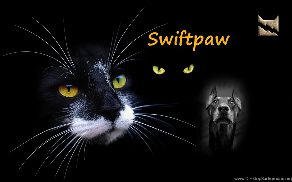 Image Swiftpaw.Wallpaper.bySilver.png Warriors By Erin Hunter ...