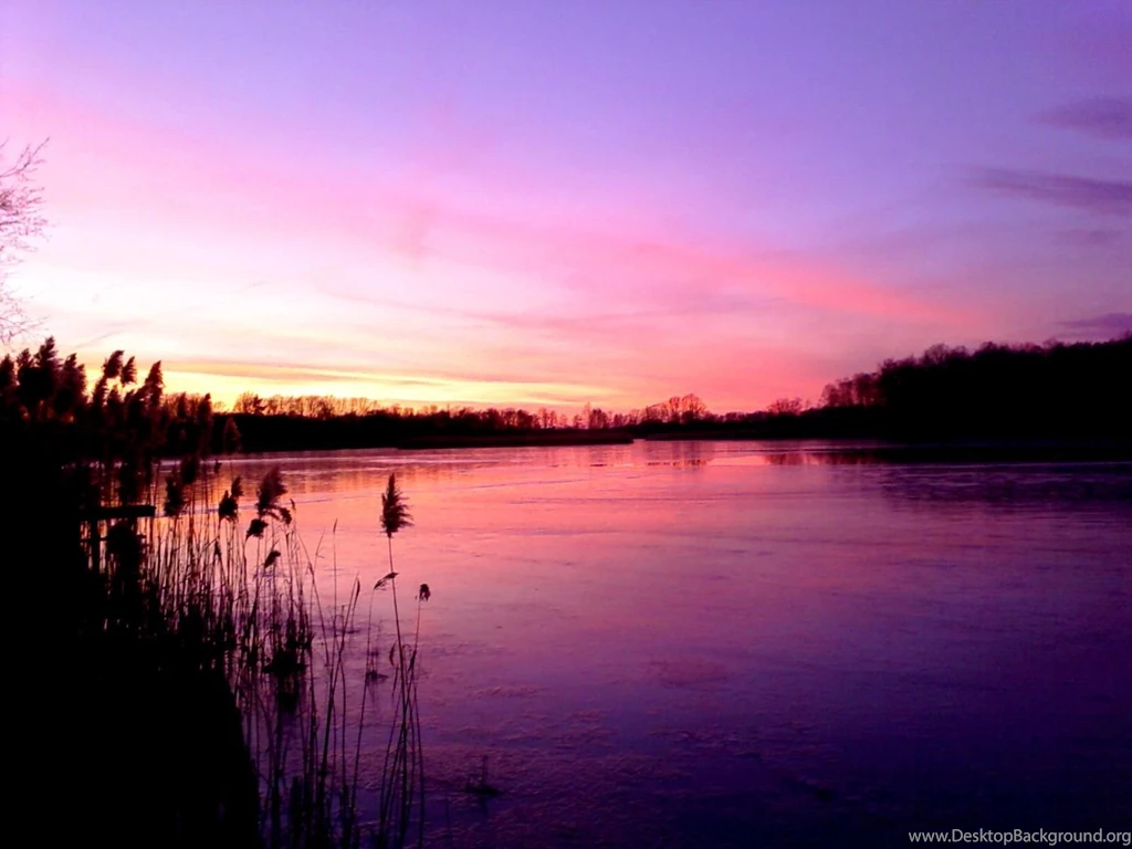 Pink Skies Wallpapers