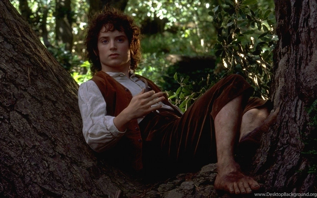 The Lord Of The Rings: The Fellowship Of The Ring Computer ...