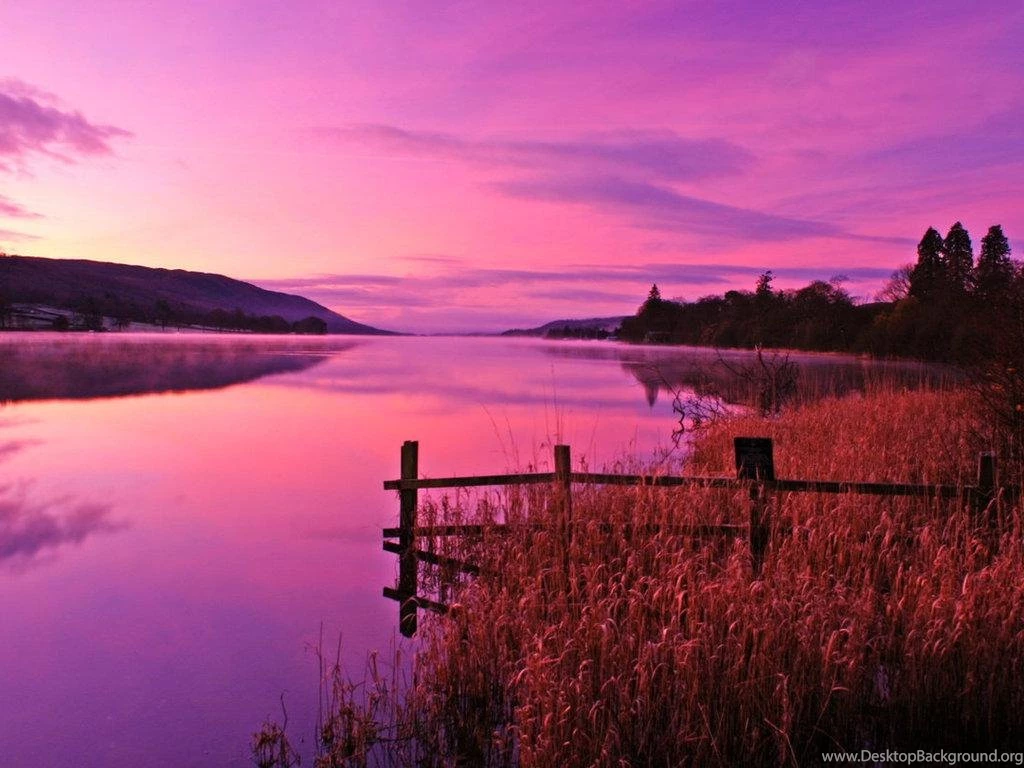 Pink Sky Pink Water Pink Sunset