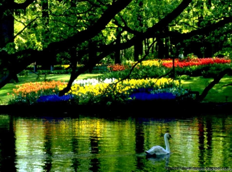 Spring Scenic Wallpapers