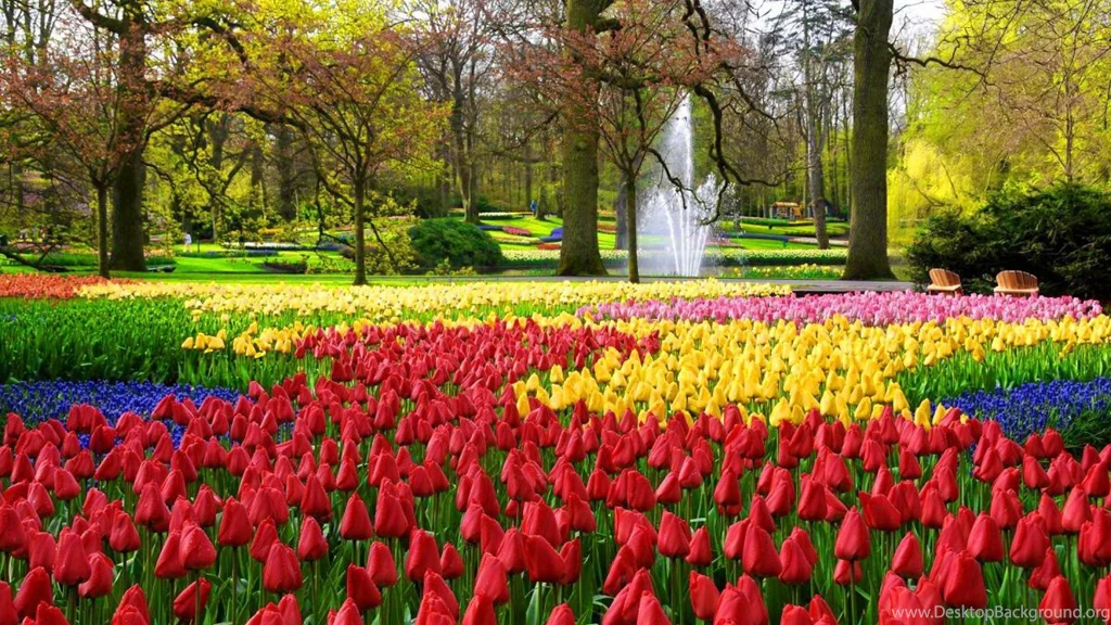 KEUKENHOF GARDENS WALLPAPER (