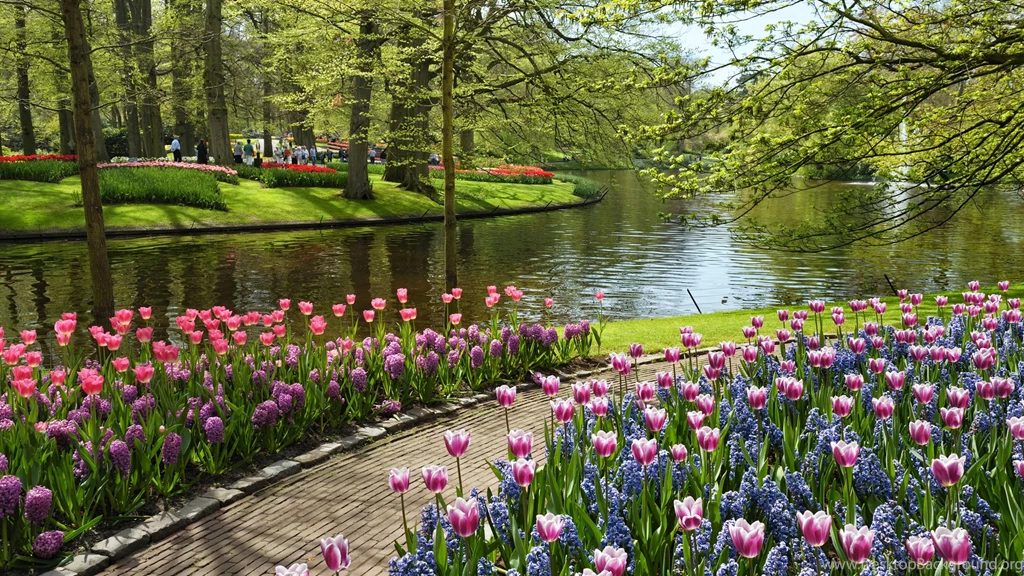 1920x1080 Park, Garden Of Europe, Keukenhof, The Netherlands ...