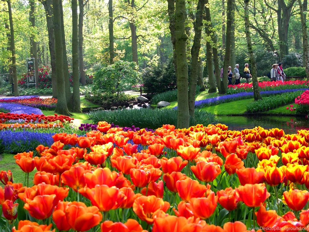 Keukenhof Largest Garden Wallpapers