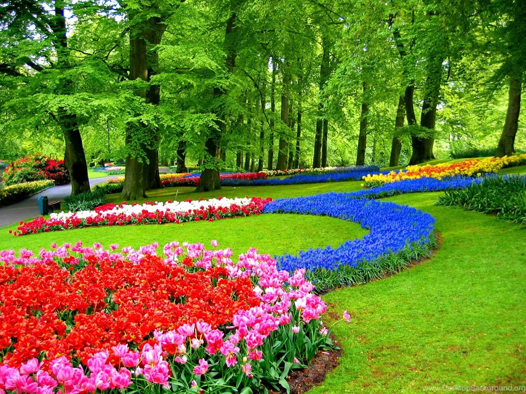 Keukenhof Gardens HD Desktop Wallpapers : Widescreen : High ...