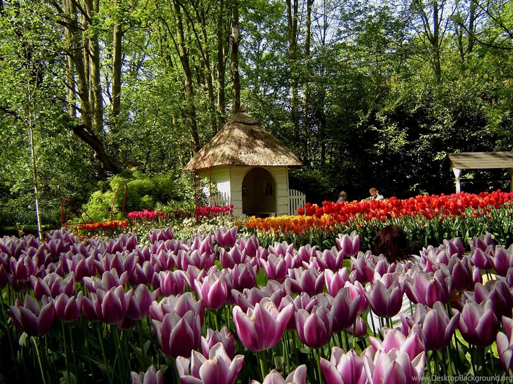 Keukenhof View 1600x1200 Wallpapers,Keukenhof 1600x1200 Wallpapers ...