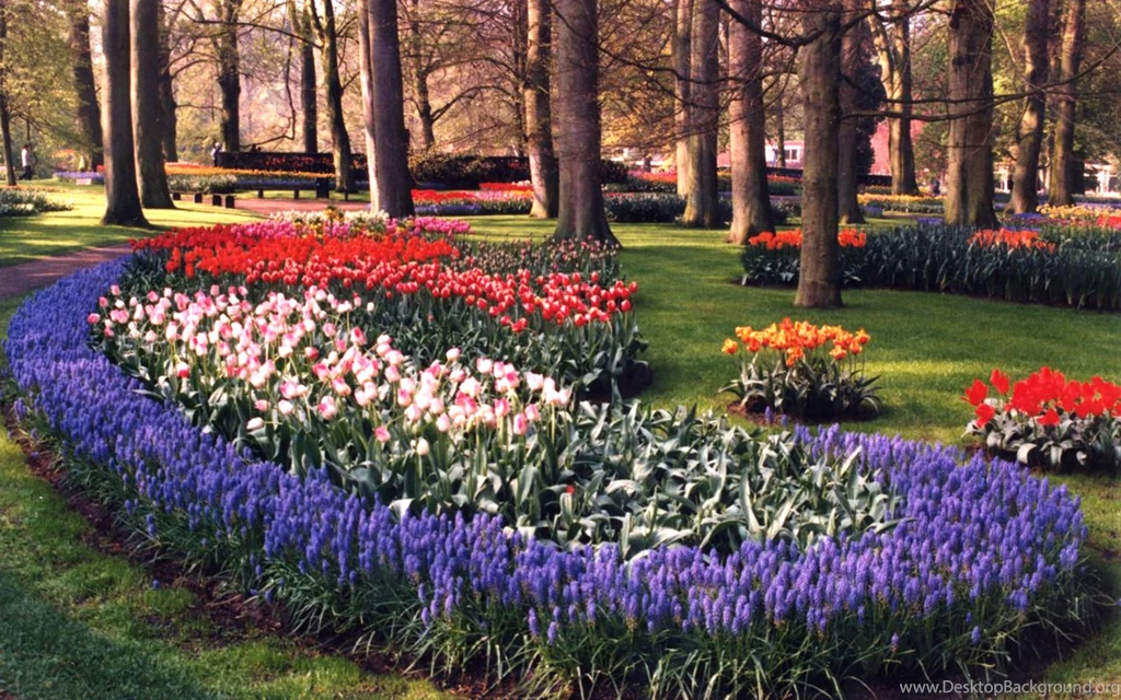 Keukenhof Gardens 1920x1200 Wallpapers,Keukenhof 1920x1200 ...