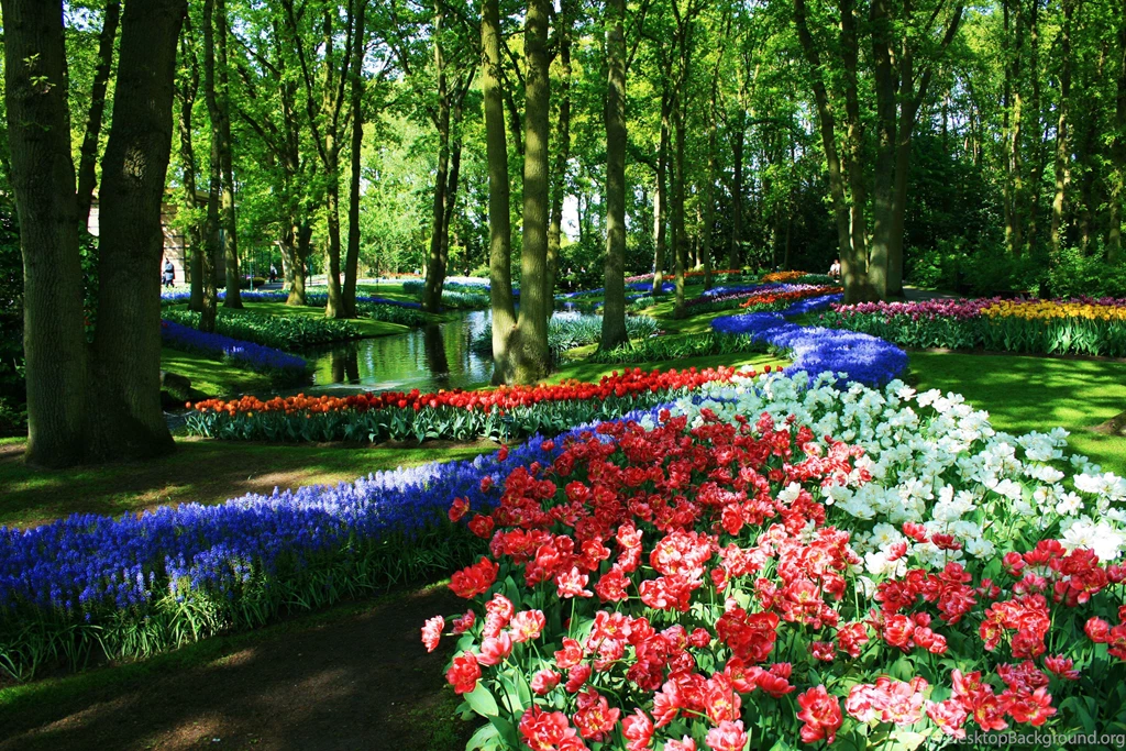 KEUKENHOF GARDENS NETHERLANDS WALLPAPER (