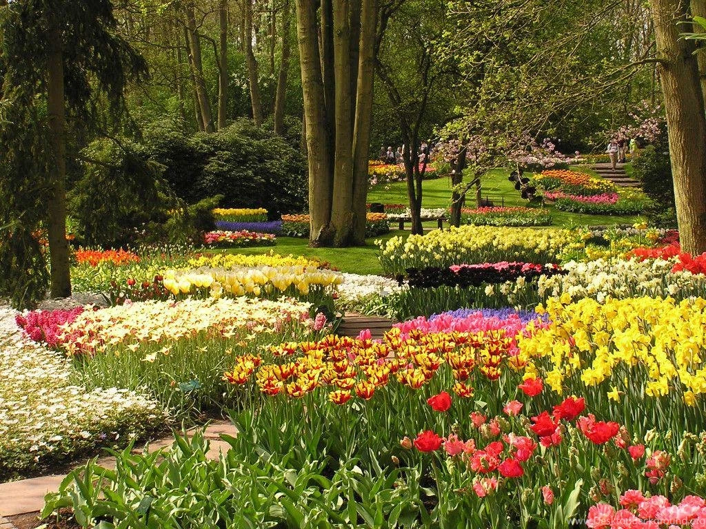KEUKENHOF GARDENS NETHERLANDS WALLPAPER (