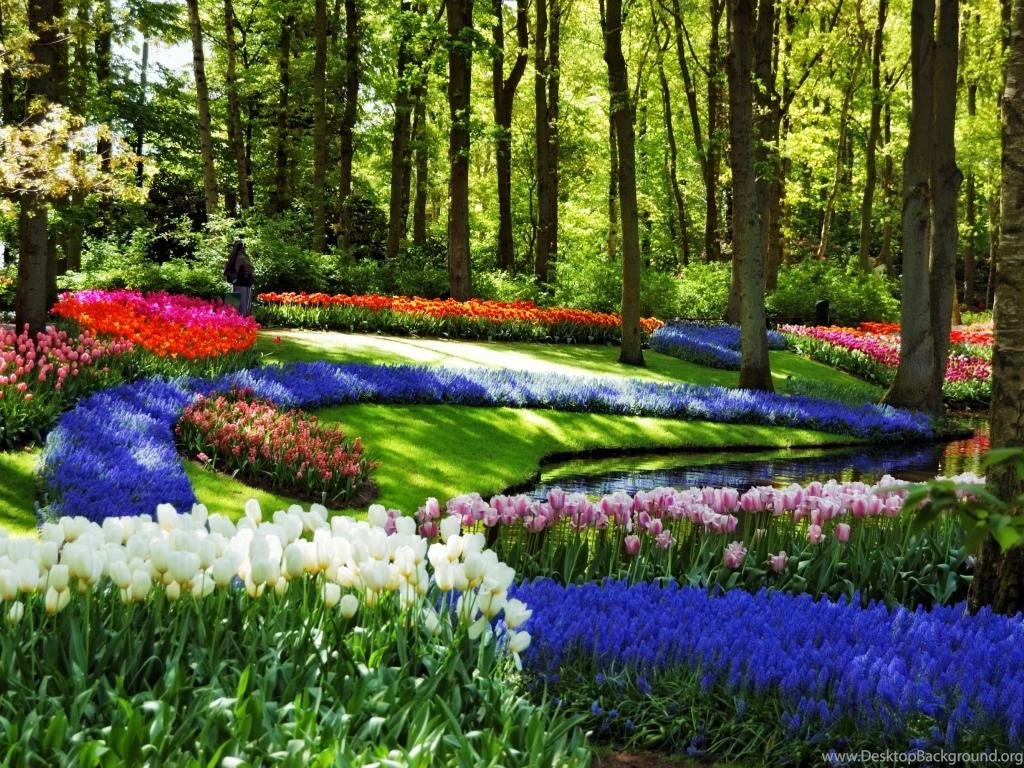 WONDERFUL SPRINGTIME AT KEUKENHOF WALLPAPER (