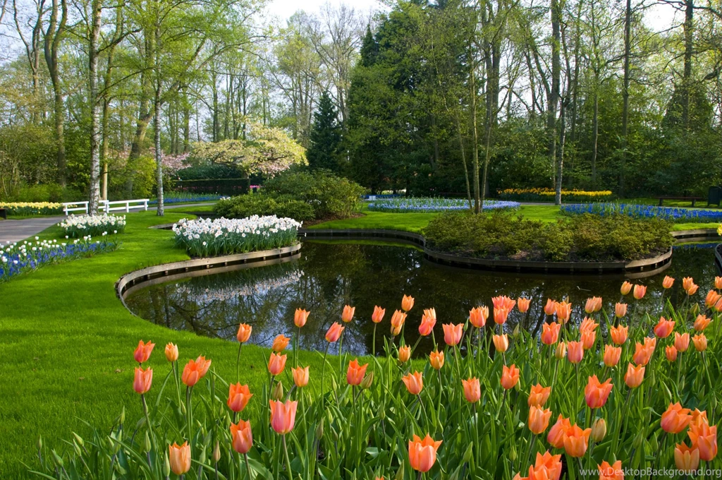Keukenhof Lisse Netherlands Computer Wallpapers, Desktop ...