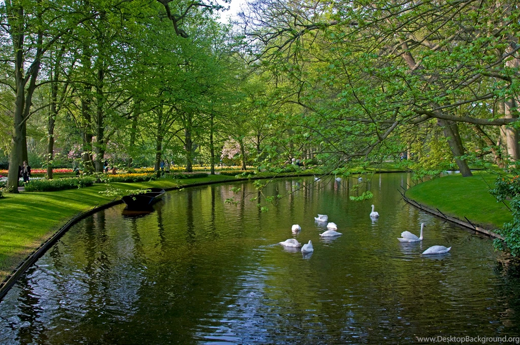 Wallpapers Parks Keukenhof Lisse Netherlands Nature Image