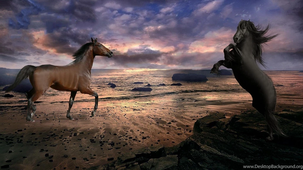 Horse Desktop Backgrounds Free Widescreen HD Horse Backgrounds ...