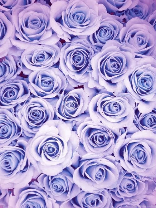 You Could Use These Sweet Backgrounds (24 Photos)