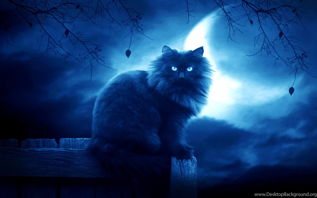 Dark Moon HD Wallpapers