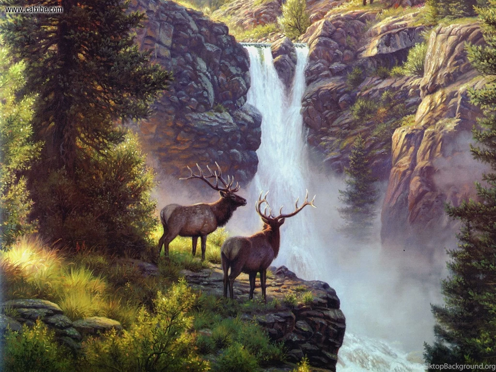 Elk Wallpapers Images Tbwnz.com