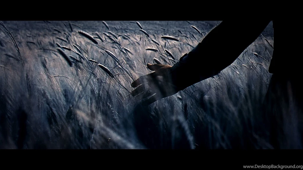 30 Glory Of Rome: Gladiator 147 :: Gladiator Movie Wallpapers
