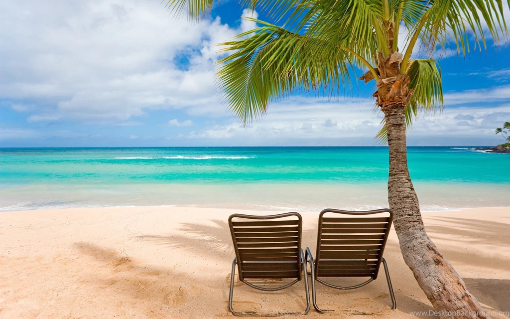 D1CAC3 Color Wallpapers: Summer Coconuts Ocean Peaceful Palm Tree ...