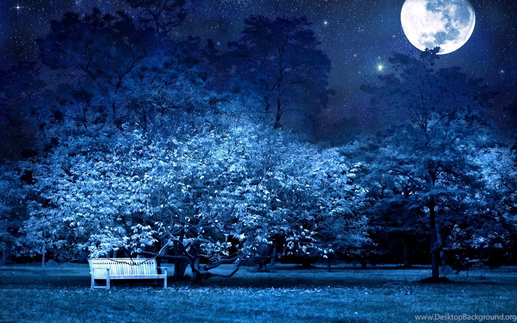 Wallpapers For Night › Resolution 1600x1200