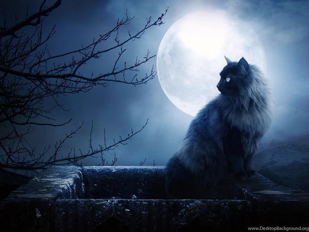 30 Landscape Desktop Wallpapers ⇒ 733326 Amazing Night Wallpapers