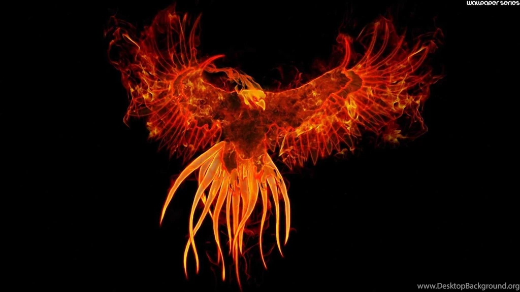Phoenix Bird Cool Wallpapers HC11 WALLEO.CO WALLEO.CO